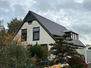 angeren-dakrenovatie-twee-dakkapellen--2-