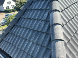 bemmel-nieuwe-betonpannen--1-